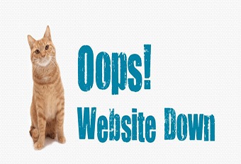 آیکون روش‎های جلوگیری از down شدن سایت  
	
